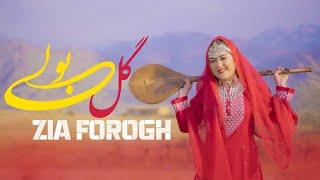 هزارگی 2024  ضیا فروغ |گل بولی ،Golibulai | New  Hazaragi Song By Zia Frogh .2024