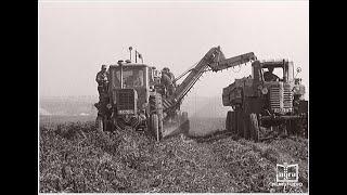 Kartoffelzeit in Mühlhausen DDR 1971