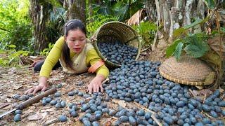 Harvest Palm Fruits to Sell at Market & Making Palm Sticky Rice to Eat - Pet Care | Trieu Mai Huong.