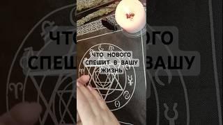 ‼️ЧТО спешит в Вашу жизнь⁉️ #shorts #таро #гадание #tarot #картытарогадание #картытаро