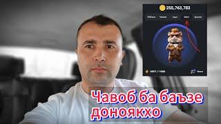 Ҷавоб ба баъзе доноякҳом интернет.| Хамстер дуруғай .