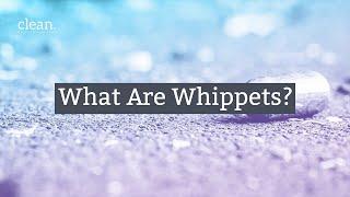 What Are Whippets?