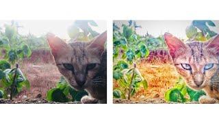 photo editing | Snapseed app photo editing