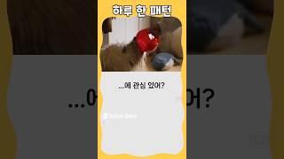 하루 한 패턴 #영어회화 #유용한영어표현 #영어 패턴