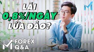 Forex Q&A #4 | Đầu Tư $9000, "LÃI" 0,8%/NGÀY Có Phải Lừa Đảo??? - mForex