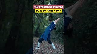 The strongest stretch#kungfu #health #martialarts #qigong