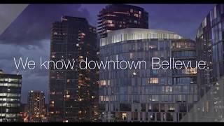 VDB Luxury in Bellevue