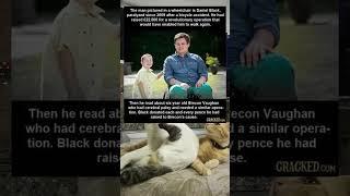 Random Post #trendingshorts #memesworldofficial #memehub