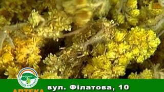 Хронические обострения осенью
