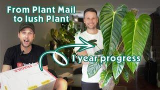 I RECEIVED PLANT MAIL - NOW WHAT? - Plant onboarding & 1 year update