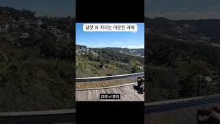 마운틴 뷰 지리는 달랏 카페