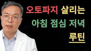 세포의 자가 사멸 프로그램 에이팝토시스-오토파지-미토파지를 물흐르듯 연결하는 아침 점심 저녁 루틴