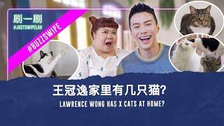 Lawrence Wong has purrfect chemistry with "Xi-casso"?  王冠逸和“茜卡索”之间默契百分百？#justswipelah