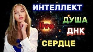 ИНТЕЛЛЕКТ, ДУША, ДНК, СЕРДЦЕ. Прямой эфир 16.03.2025.