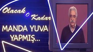 Olacak O Kadar | Manda Yuva Yapmış Söğüt Dalına...