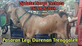 UPDATE HARGA TERBARU PASARAN LEGI DURENAN TRENGGALEK