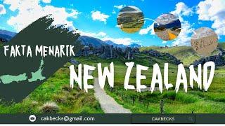 Interesting Facts New Zealand Third Most Beautiful Country in the World