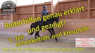 F133/1 Kreuzhilfe & Schenkelhilfe am Pferd erklärt und gezeigt. Reiterfehler und Lösungen für Reiter