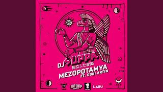 Mezopotamya (feat. Roni Artin)