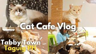 cat loversCat Cafe Vlog | Tabby Town Cat Cafe Taguig, Philippines| me and my sister's cats bonding