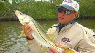 Snook Fishing in the Backcountry Canals of Chokoloskee Florida