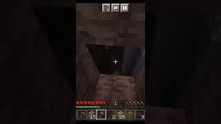 minecraft, but everything i touch turns into woodplank #minecraft #viral #shorts