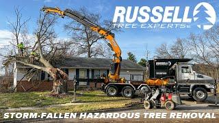 Removing a Storm Damaged Tree Off of a House!