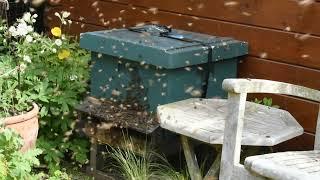 Garden swarm