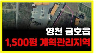 영천토지땅매매  ㅣ영천 금호읍 공장창고 부지 ㅣ 영천 1500평 건축부지 계획관리지역 매매 ㅣ영천 금호대창 공장창고 부지 매매 ㅣ영천 공장창고 땅 매매