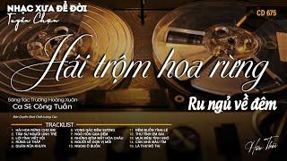 [CD675] Mở Nhẹ Nhàng Lk Nhạc Vàng Hải Ngoại Xưa Bất Hủ Còn Mãi Theo Thời Gian| Hữu Thái Lossless