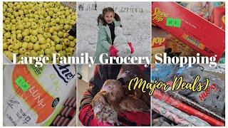 LARGE FAMILY GROCERY SHOPPING WITH HAUL | Shop the Discount Store With Me!