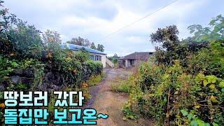 [제주도 부동산경매] 반값경매되면 난리나겠네~~실제현장영상(2023타경30098)