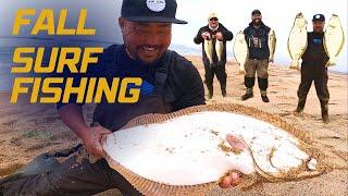 Major Keys to Fall Surf Fishing In California for Halibut Striped Bass and Perch