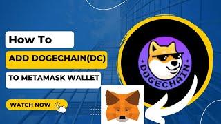 How to Add DogeChain Network to a Metamask Wallet