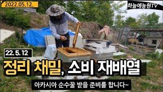 22년 5월 중순, 아카시아 순수꿀 받을 준비를 합니다.