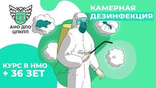 КУРС НМО: Камерная дезинфекция