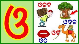 ଓଡିଆ ବର୍ଣ୍ଣମାଳା(Odia BarnaMala )| Odia Alphabets | ଓ ରୁ ଓଟ ଓଜନ,ଓଠ | a ru arata | Kidz world odia