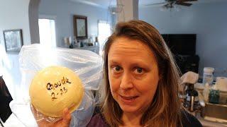 Cheesemaking - Let's make Gouda!