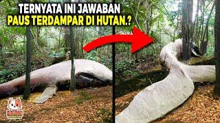 Kalian Gak Percaya ini.! 10 Penemuan Hewan Menggemparkan Ilmuan