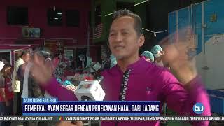 AYAM BISMI SDN.BHD | Pembekal Ayam Segar Halal Dari Ladang