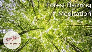 Forest Bathing | Guided Meditation