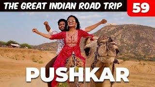 Pushkar me PUSH kar diya | 35,000 km The Great Indian Road Trip Ep 59