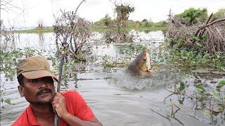 Amazing fishing in river|catching very big Rohu fishes|indian wildfishing