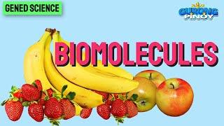 Biomolecules I General Education Science I 4 Different Types of Molecules