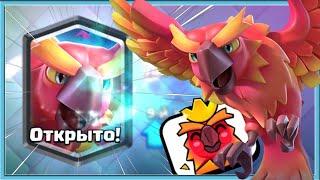  PHOENIX NEW OP? PHOENIX LAUNCH PARTY AND DECKS / Ckash Royale