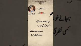 #poetry #quotes #poetrylovers #shayari #sadpoetry #mirzaghalib #motivation