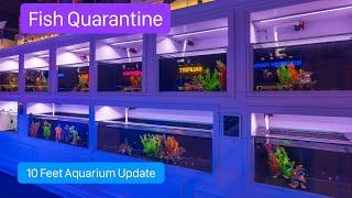 10 Feet Aquarium / Fish Quarantine / Torch Keeping Tips / Backroom