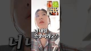 흔한 소풍날 아침 풍경 (싸움을 곁들인)