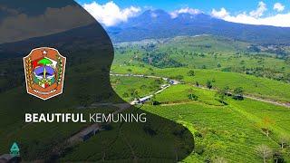 Kebun Teh Kemuning (Aerial Video)