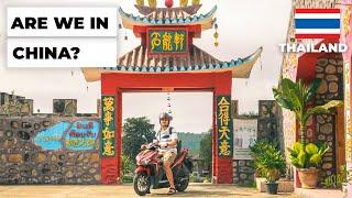 THE BEST OF PAI, THAILAND | Santichon village, Yunlai Viewpoint, Big Buddha and Pai Memorial Bridge